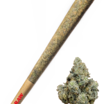 33 Splitta - High Rollas