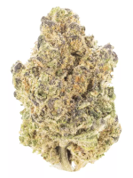 Animal Cookies - High Rollas