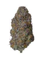 Black Cherry Punch - High Rollas