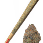 Black Cherry Punch - High Rollas
