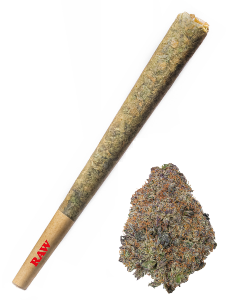 Black Cherry Punch - High Rollas