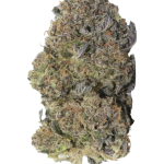 Blue Sherbert - High Rollas