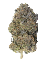 Blue Sherbert - High Rollas