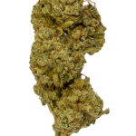 Blue Sherbert - High Rollas