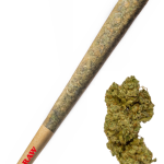 Blue Sherbert - High Rollas