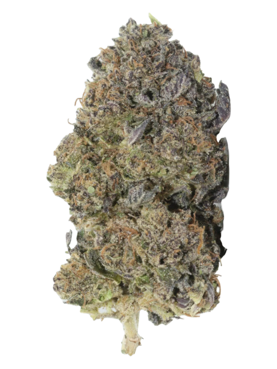 Blue Sherbert - High Rollas