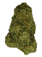 Bubblegum Gelato - High Rollas