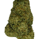 Bubblegum Gelato - High Rollas