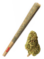 Bubblegum - High Rollas