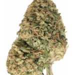 Candyland - High Rollas