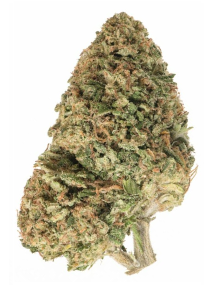 Candyland - High Rollas