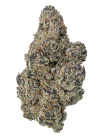 Cookie Dawg - High Rollas