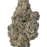 Cookie Dawg - High Rollas