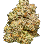 Divine Gelato - High Rollas