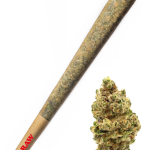 Dosidos - High Rollas
