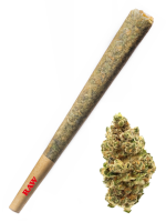 Dosidos - High Rollas