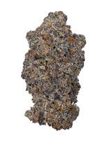Forbidden Fruit - High Rollas