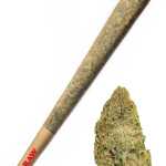 Frosty Candyland - High Rollas