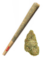 Frosty Candyland - High Rollas