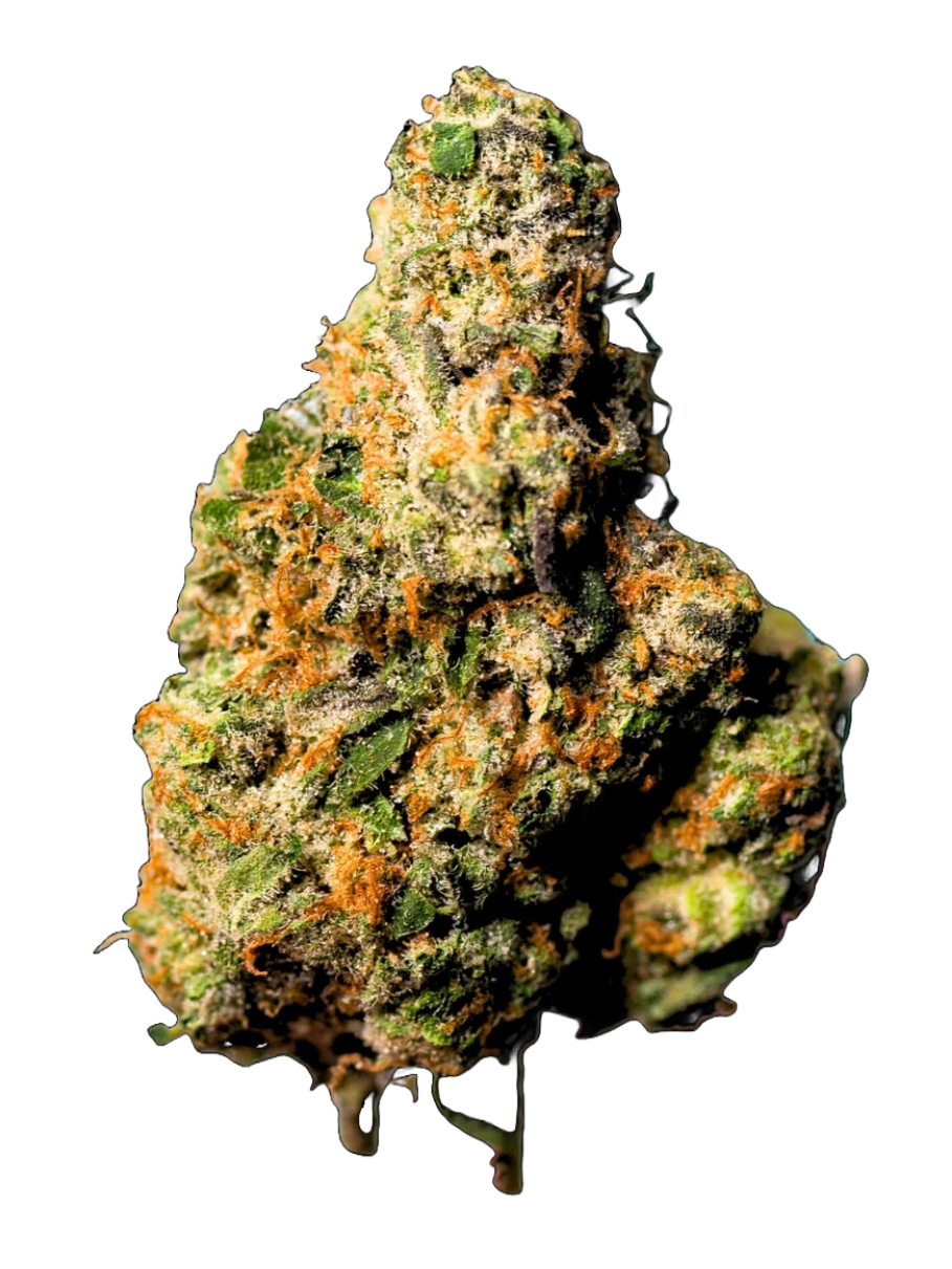 Fruit Gusherz - High Rollas
