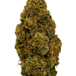 Gas Cake - High Rollas