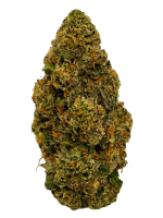 Gas Cake - High Rollas