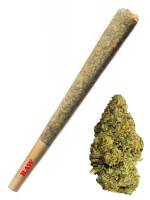 Gelato 25 - High Rollas