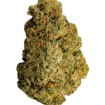 Gelato - High Rollas