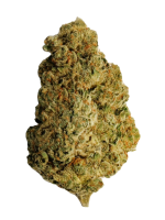 Gelato - High Rollas