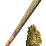 Gelato - High Rollas