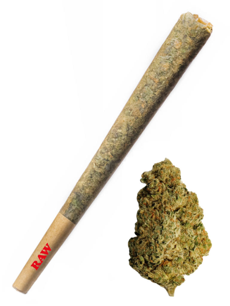 Gelato - High Rollas