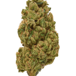 Girl Scout Cookies - High Rollas