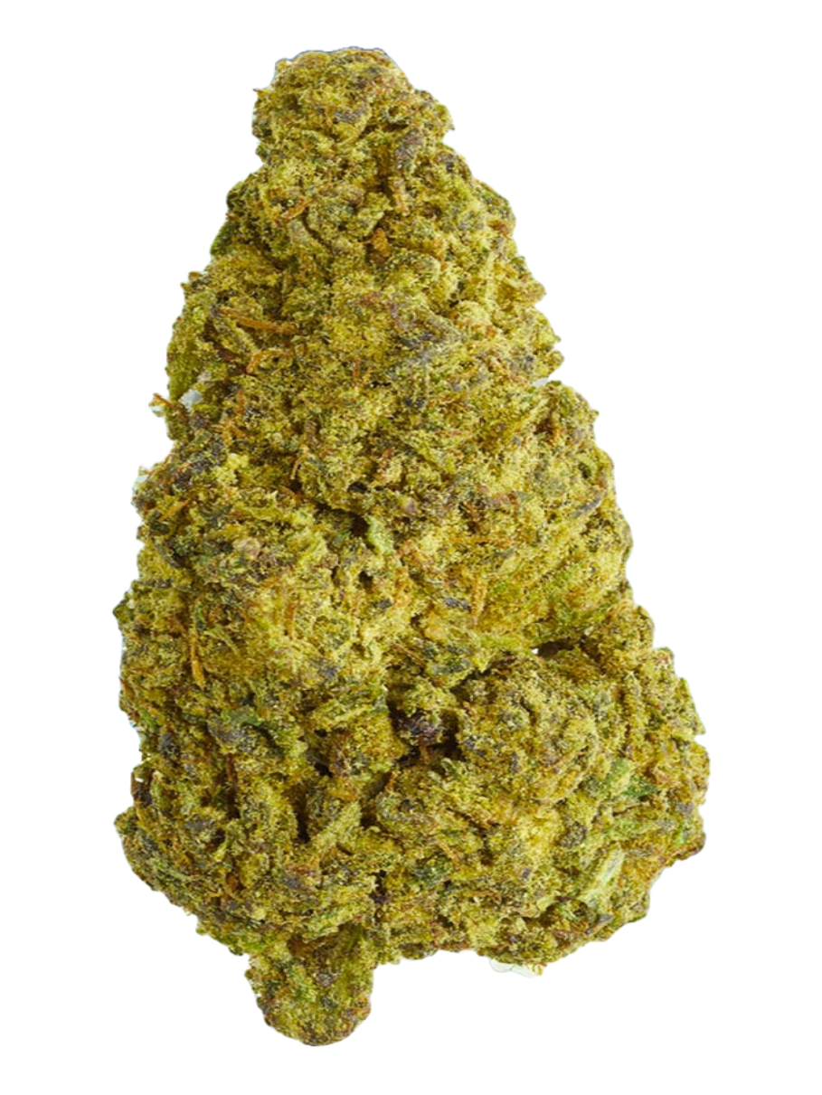Girl Scout Cookies - High Rollas