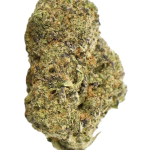 Gorilla Cookies - High Rollas