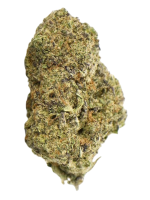 Gorilla Cookies - High Rollas