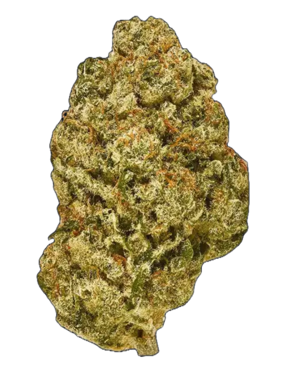 Gorilla Haze - High Rollas