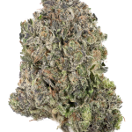 Grandaddy Purple - High Rollas
