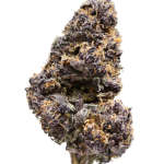 Grape Jelly - High Rollas