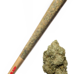 Guava Dawg - High Rollas