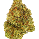Jack Herer - High Rollas