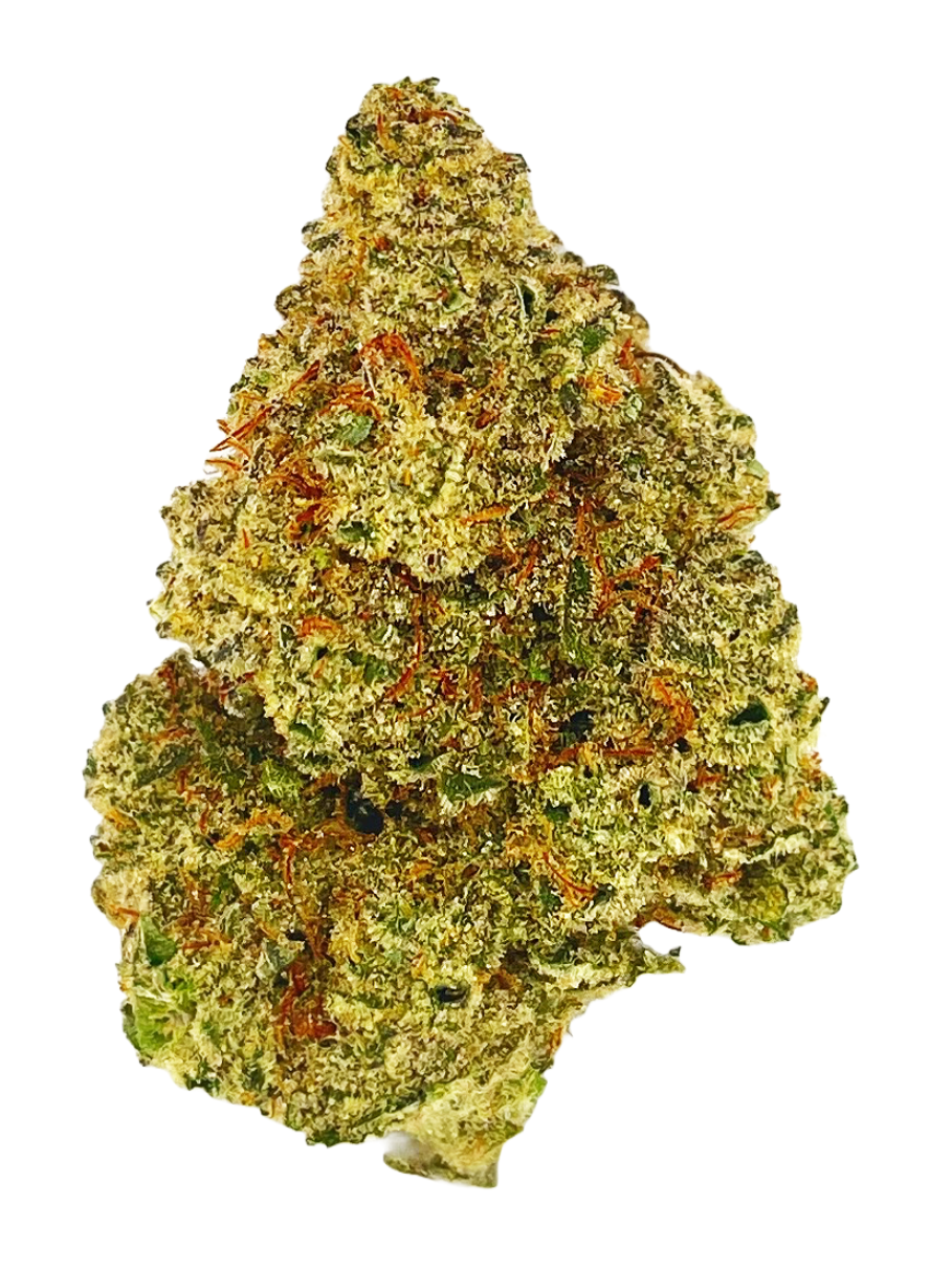Jack Herer - High Rollas
