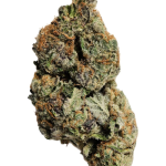Jet Fuel OG - High Rollas