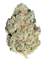 Jungle Cake - High Rollas