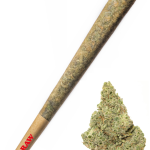 Key Lime Pie - High Rollas