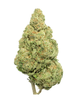 Lemon Cake - High Rollas