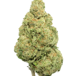Lemon Cake - High Rollas