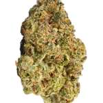 Mimosa - High Rollas