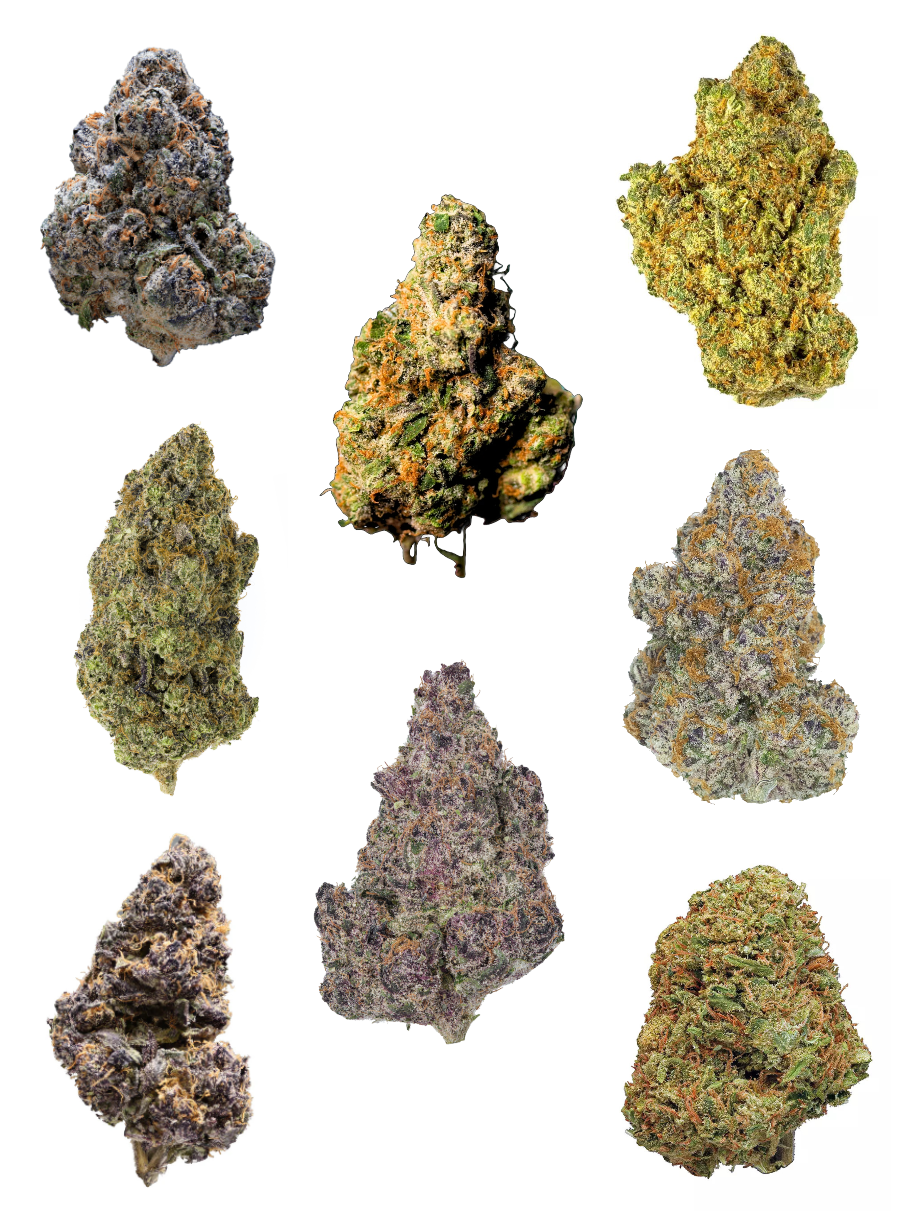 Mix Exotic Grow Bundle - High Rollas