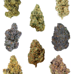 Mix UK Grow Bundle - High Rollas