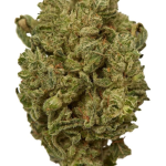 Original Z - High Rollas